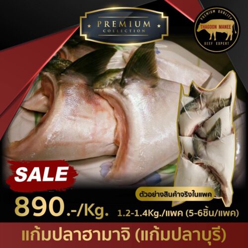 แก้มปลาฮามาจิ