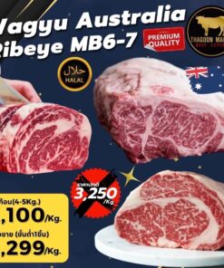 wagyu Australia ribeye mb6-7
