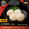 Hokkaido Scallop