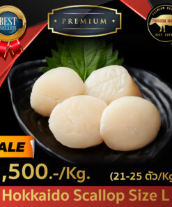 Hokkaido Scallop