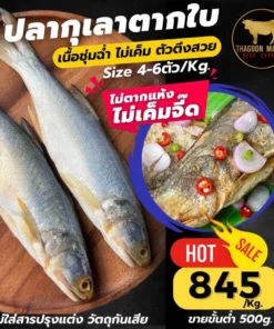 ปลากุเลาหมักตากใบ