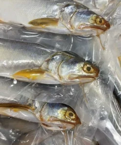 Alternative view of ปลากุเลาหมักตากใบ ไม่เค็ม ไม่ใช่ปลาตากแห้ง