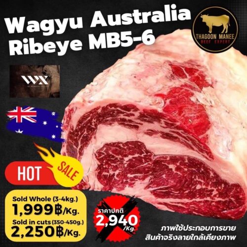Wagyu Australia Ribeye
