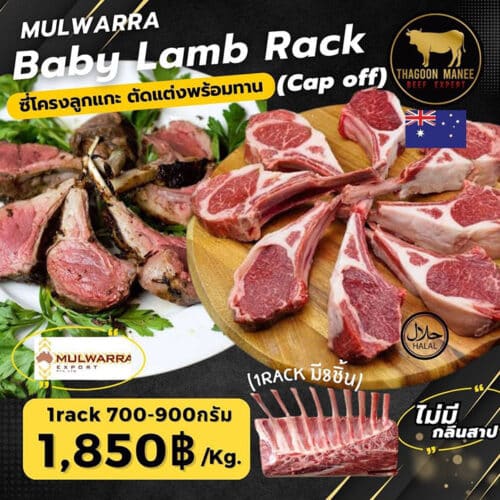 Baby Lamb Rack Cap Off From Australia ซี่โครงลูกแกะ