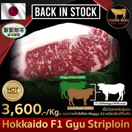 Hokkaido F1