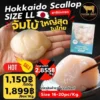 Hokkaido Scallop