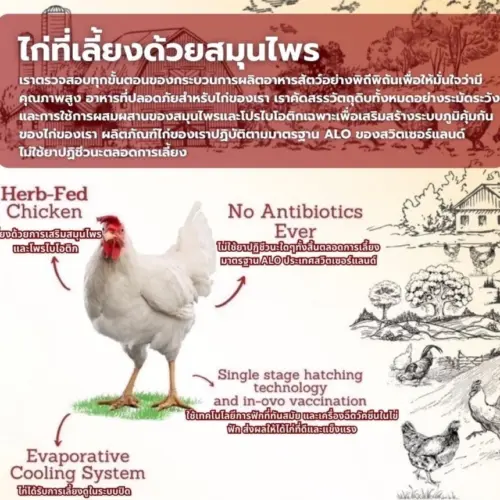 Organic Fresh Chicken