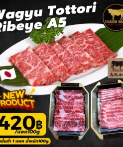 wagyu tottori ribeye a5