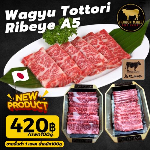 wagyu tottori ribeye a5