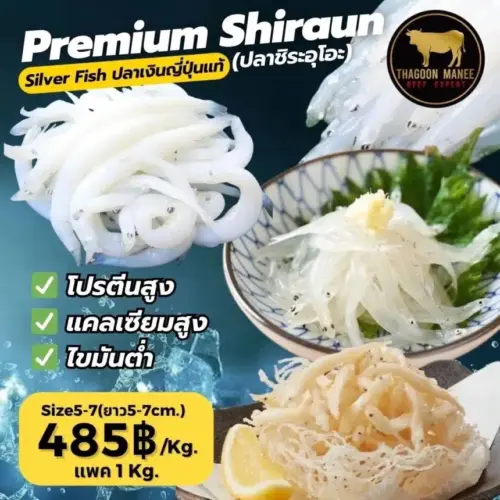ปลาเงิน ปลาชิระอุโอะ Shirauo (白魚)