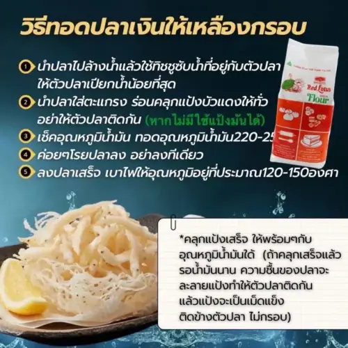 Alternative view of ปลาเงิน ปลาชิระอุโอะ Shirauo (白魚)
