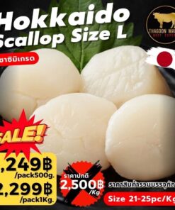 hokkaido scallop size l