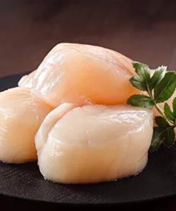 hokkaido scallop size l 05