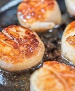 hokkaido scallop size l 05