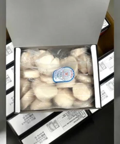 hokkaido scallop size l 05