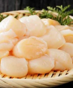 hokkaido scallop size l 05