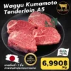 Wagyu Kumamoto Tenderloin A5