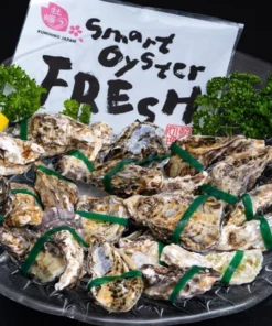 smart oyster fresh