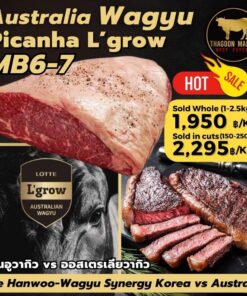 Picanha mb6-7 l grow australia wagyu