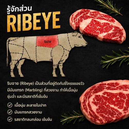 ราคาส่ง เนื้อ U.S.D.A. Angus Prime Ribeye คุณภาพพรีเมียม