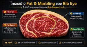 เจาะลึกโครงสร้างเนื้อ Rib Eye เผยความลับความอร่อยที่คนรักสเต็กต้องรู้