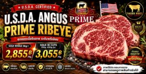 ราคาส่ง เนื้อ U.S.D.A. Angus Prime Ribeye คุณภาพพรีเมียม