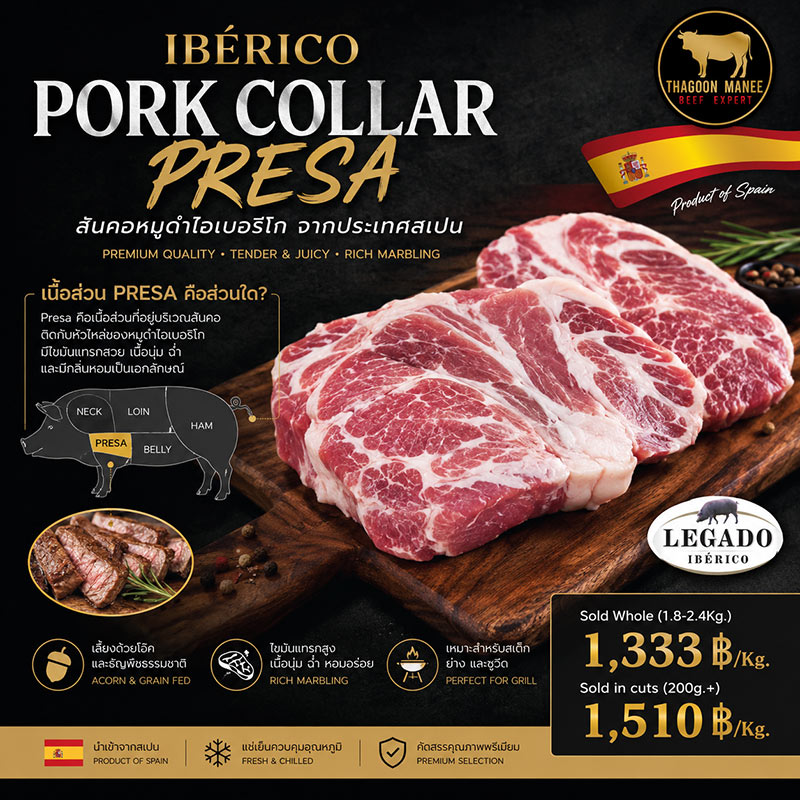 Ibérico Pork Collar Presa สันคอหมูดำไอเบอริโกนำเข้าจากสเปน เนื้อพรีเมียมลายไขมันแทรกสวย นุ่ม ฉ่ำ เหมาะสำหรับสเต๊กและเมนูย่างคุณภาพสูง