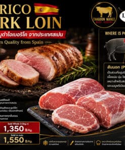 อินโฟกราฟิก Iberico Pork Loin สันนอกหมูดำไอเบอริโคจากประเทศสเปน แสดงตำแหน่งสันนอกบนตัวหมูดำไอเบอริโค เนื้อหมูพรีเมียมไขมันแทรกละเอียด เหมาะสำหรับสเต๊ก ย่าง อบ และเมนูอาหารระดับพรีเมียม