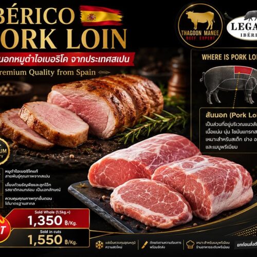 อินโฟกราฟิก Iberico Pork Loin สันนอกหมูดำไอเบอริโคจากประเทศสเปน แสดงตำแหน่งสันนอกบนตัวหมูดำไอเบอริโค เนื้อหมูพรีเมียมไขมันแทรกละเอียด เหมาะสำหรับสเต๊ก ย่าง อบ และเมนูอาหารระดับพรีเมียม