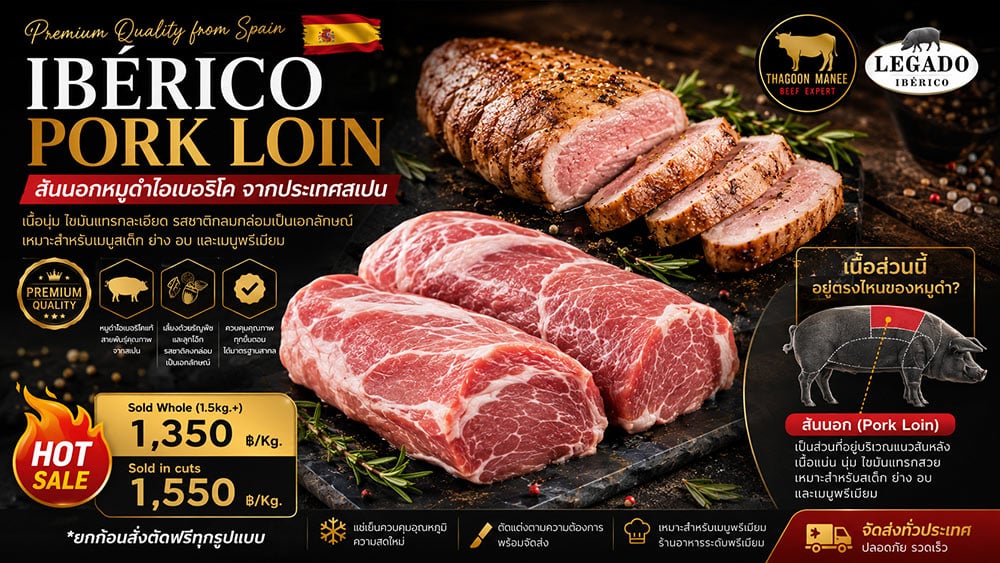 Iberico Pork Loin สันนอกหมูดำไอเบอริโคนำเข้าจากประเทศสเปน แสดงตำแหน่งสันนอกบนตัวหมูดำไอเบอริโค เนื้อหมูพรีเมียมไขมันแทรกละเอียด เหมาะสำหรับสเต๊ก ย่าง อบ และเมนูอาหารระดับพรีเมียม
