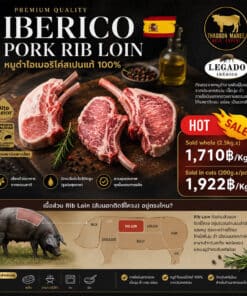 อินโฟกราฟิก Iberico Pork Rib Loin จากหมูดำไอเบอริโค่สเปนแท้ 100% พร้อมแผนภาพแสดงตำแหน่งเนื้อส่วน Rib Loin บนตัวหมู เนื้อพรีเมียมลายไขมันแทรกสวย เหมาะสำหรับสเต๊ก พอร์คชอป และเมนูย่างระดับพรีเมียม