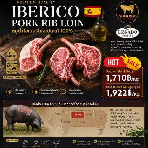 อินโฟกราฟิก Iberico Pork Rib Loin จากหมูดำไอเบอริโค่สเปนแท้ 100% พร้อมแผนภาพแสดงตำแหน่งเนื้อส่วน Rib Loin บนตัวหมู เนื้อพรีเมียมลายไขมันแทรกสวย เหมาะสำหรับสเต๊ก พอร์คชอป และเมนูย่างระดับพรีเมียม