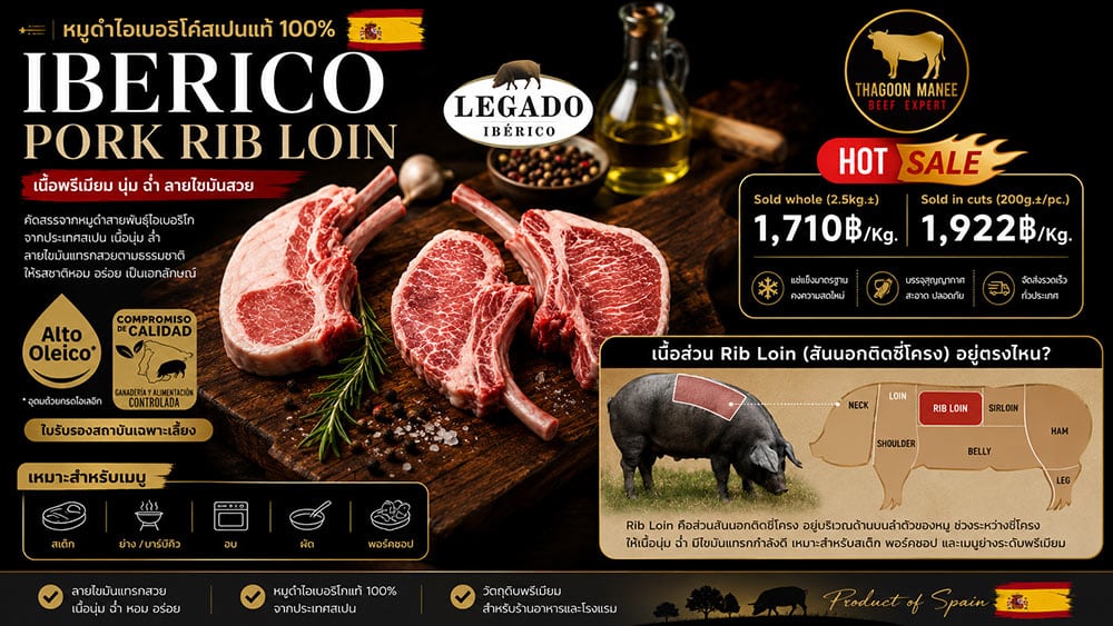 อินโฟกราฟิก Iberico Pork Rib Loin ขนาด 16:9 แสดงเนื้อหมูดำไอเบอริโค่สเปนแท้ 100% พร้อมแผนภาพตำแหน่ง Rib Loin บนตัวหมู ลายไขมันแทรกสวย เหมาะสำหรับสเต๊ก พอร์คชอป และเมนูพรีเมียม