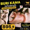 แก้มปลาบุรี (Buri Kama) แช่แข็ง นำเข้าจากญี่ปุ่น 2.2 Kg.