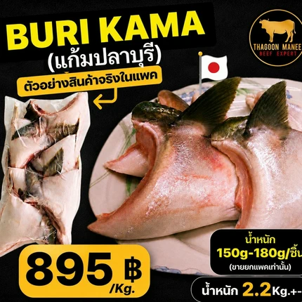 แก้มปลาบุรี (Buri Kama) แช่แข็ง นำเข้าจากญี่ปุ่น 2.2 Kg.