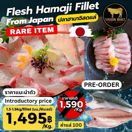 ปลาฮามาจิสดแล่ นำเข้าจากญี่ปุ่น (Pre-Order) ขนาด 1.3-1.9 kg