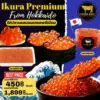 ไข่ปลาแซลมอนฮอกไกโด Ikura Premium ขนาด 100g และ 500g