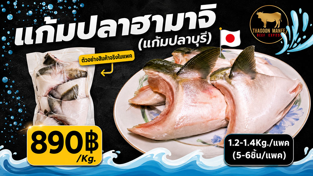 แก้มปลาฮามาจิ หรือ แก้มปลาบุรี พร้อมตัวอย่างแพ็คซีลสุญญากาศ ขนาด 1.2-1.4 กิโลกรัม (5-6 ชิ้น) ราคา 890 บาทต่อกิโลกรัม จากร้าน Thagoon Manee Beef Express
