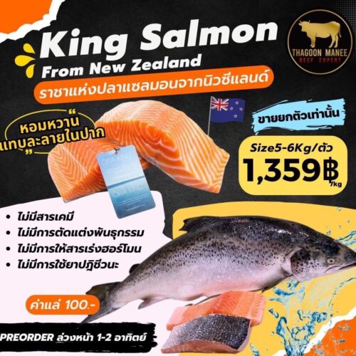 Ora King Salmon แซลมอนนิวซีแลนด์ เกรดพรีเมียม [พรีออเดอร์]