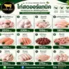 ไก่สดออร์แกนิค ปลอดสารเคมี เลี้ยงธรรมชาติ สุขภาพดีทุกมื้อ
