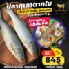 ปลากุเลาตากใบ เนื้อชุ่มฉ่ำ ไม่เค็มจี๊ด ไร้สารกันเสีย (Size 4-6 ตัว/Kg.)