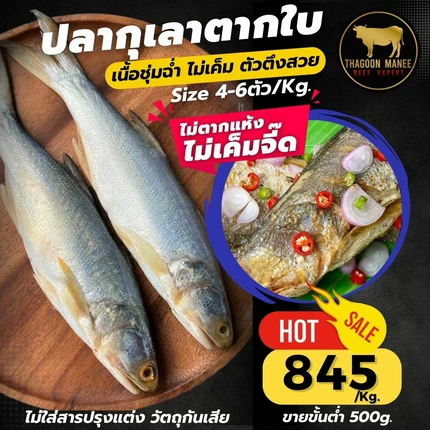ปลากุเลาตากใบ เนื้อชุ่มฉ่ำ ไม่เค็มจี๊ด ไร้สารกันเสีย (Size 4-6 ตัว/Kg.)