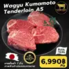 เนื้อสันในวากิว คุมาโมโตะ เกรด A5 วัตถุดิบระดับพรีเมียม