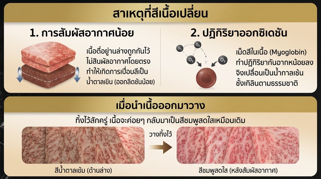 เนื้อวากิว A5 เปลี่ยนสีน้ำตาลเข้มเมื่อวางทับกัน ไขข้อสงสัยทางวิทยาศาสตร์การอาหาร