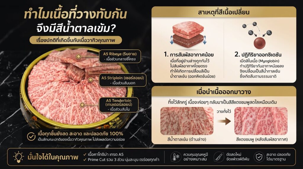 เนื้อวากิว A5 เปลี่ยนสีน้ำตาลเข้มเมื่อวางทับกัน ไขข้อสงสัยทางวิทยาศาสตร์การอาหาร