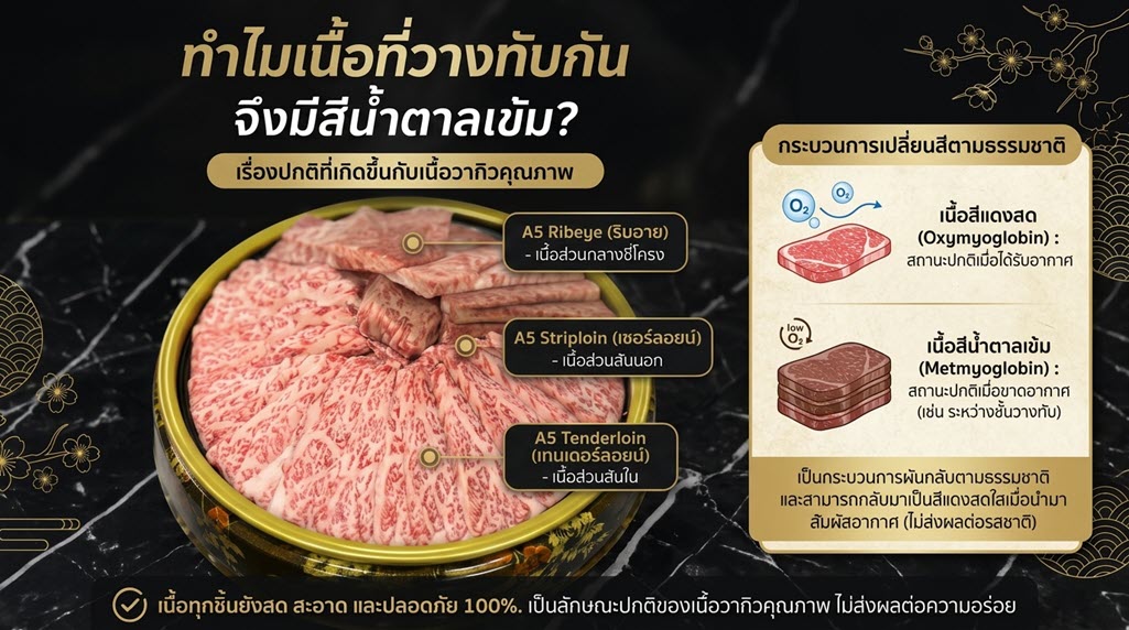 เนื้อวากิว A5 เปลี่ยนสีน้ำตาลเข้มเมื่อวางทับกัน ไขข้อสงสัยทางวิทยาศาสตร์การอาหาร