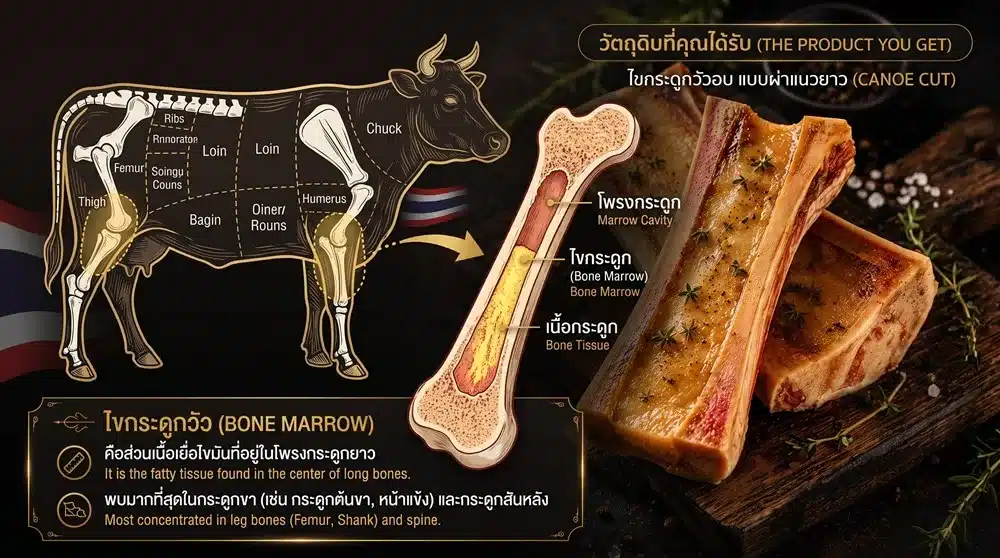 Premium Beef Bone Marrow – Canoe Cut | ไขกระดูกวัวพรีเมียม
