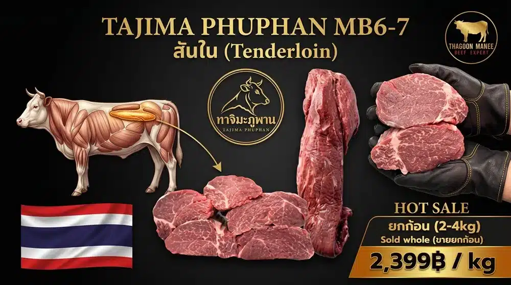Tajima Phuphan MB6-7 Tenderloin วากิวทาจิมะภูพาน สันใน ยกก้อน