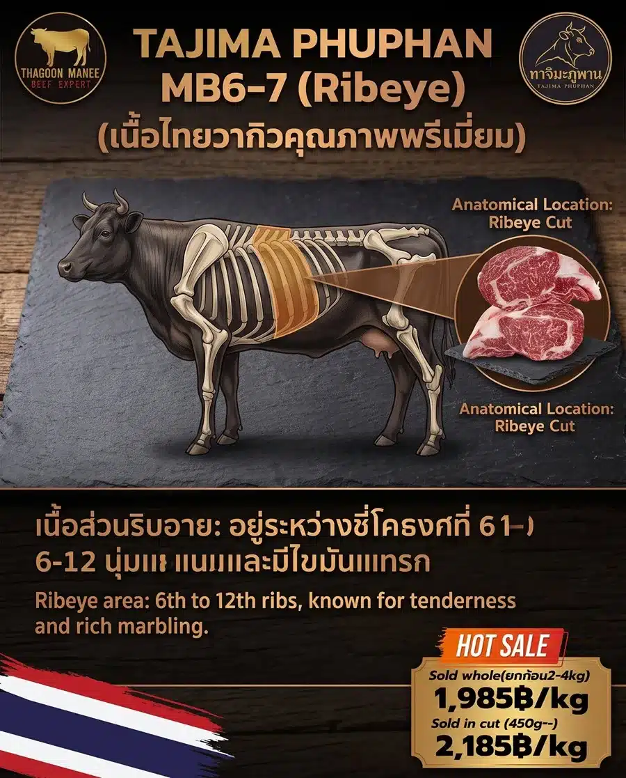 เนื้อวากิว Tajima Phuphan Ribeye MB6-7 (Tajima Phuphan Ribeye)