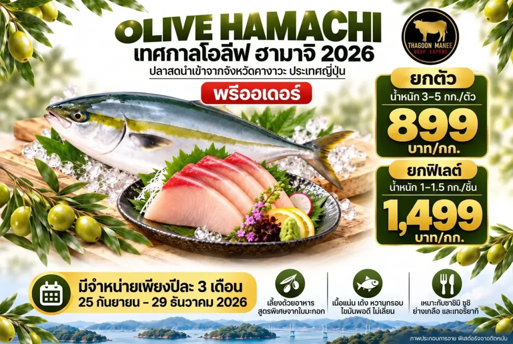 Olive Hamachi เนื้อปลาโอลีฟฮามาจิสด เกรดซาชิมิ (ยกฟิเลต 1–1.5 kg)